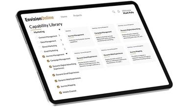 Perficient Envision Online Capabilities
