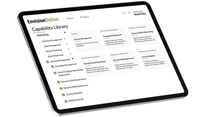 Perficient Envision Online Capabilities