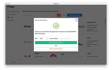 Pinggy