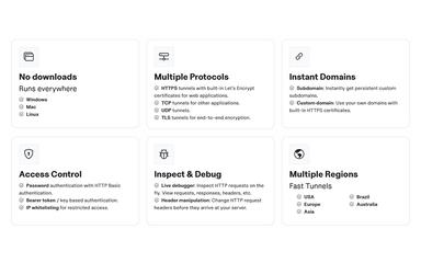 Pinggy Features