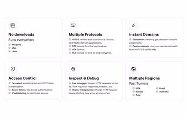 Pinggy Features
