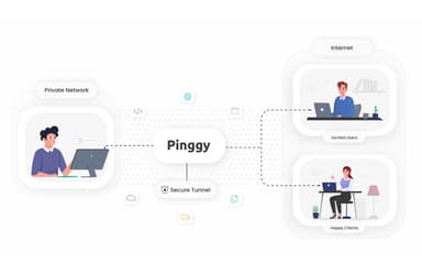 Pinggy Secure tunnels to your private network