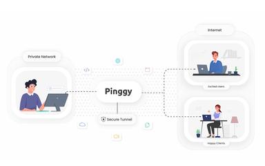 Pinggy Secure tunnels to your private network