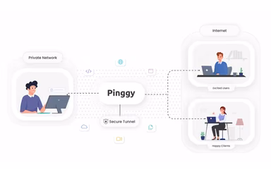 Pinggy Secure tunnels to your private network