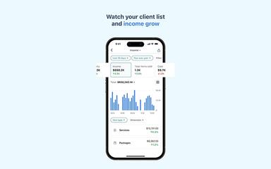 PocketSuite Income Analysis