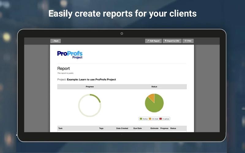 ProProfs Project Report