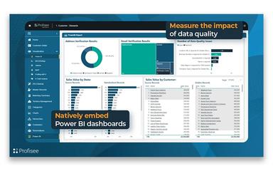 Profisee Dashboard