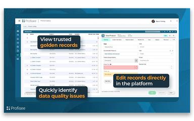 Profisee Web-based Experience