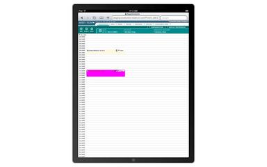 Pulse EHR Appointments