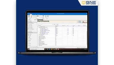 QNE Accounting Financial Reporting