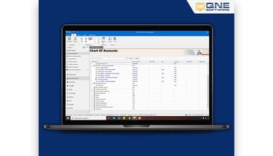QNE Accounting Financial Reporting