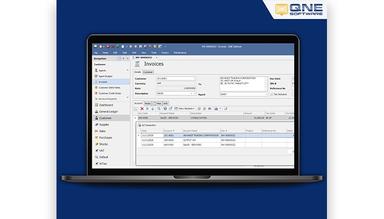 QNE Accounting Analytics Overview Screen