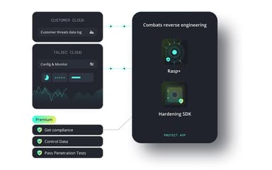 RASP Combats Reverse Engineering