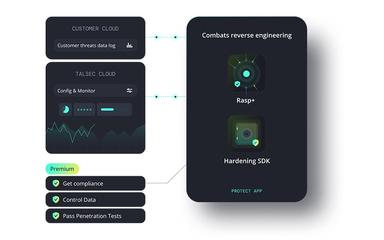 RASP Combats Reverse Engineering