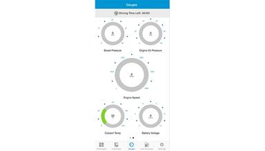 Rand McNally Fleet Solutions gauges