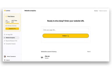 Rankioz-Website-Analytics