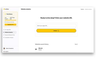Rankioz-Website-Analytics