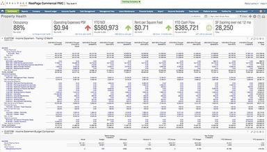 RealPage Property income statement