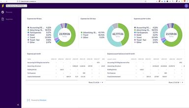 Customizable Reporting and BI