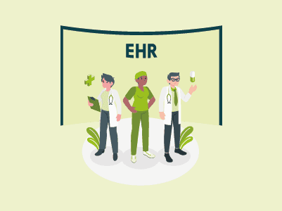 THE EHR UNDERDOGS OF 2024