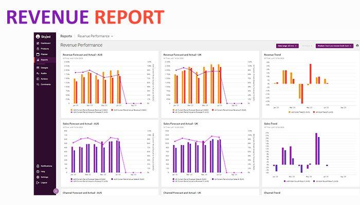 Revenue-Report