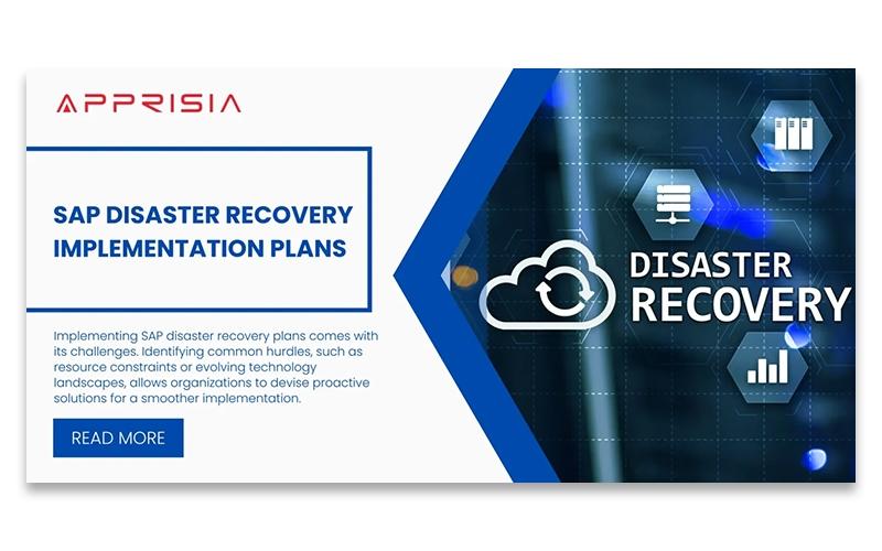 Apprisia SAP Implementation Plans