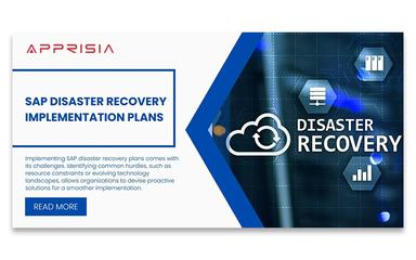 Apprisia SAP Implementation Plans