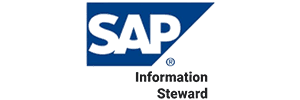 SAP Information Steward