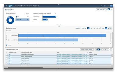 SAP Master Data Governance Evolution Results
