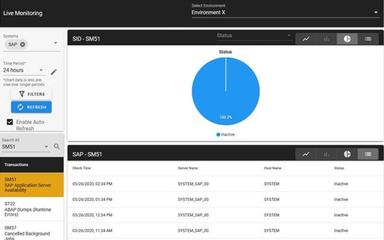 1st Basis Consulting SAP Monitoring