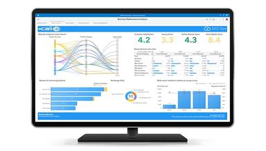 SAS Viya Software testing