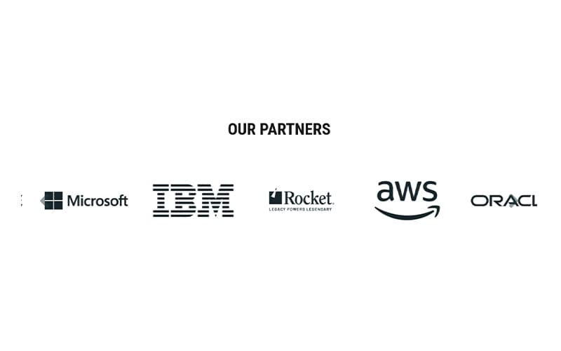 SRM Software Partners