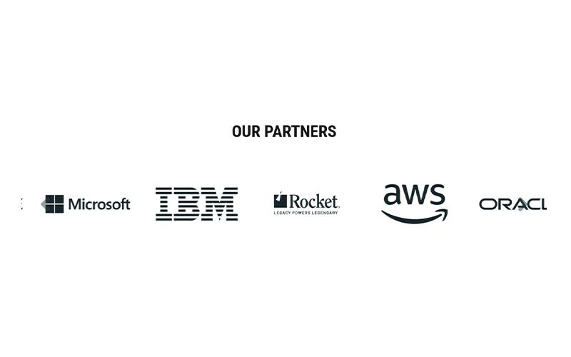SRM Software Partners