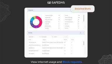 SafeDNS Detailed Statistics