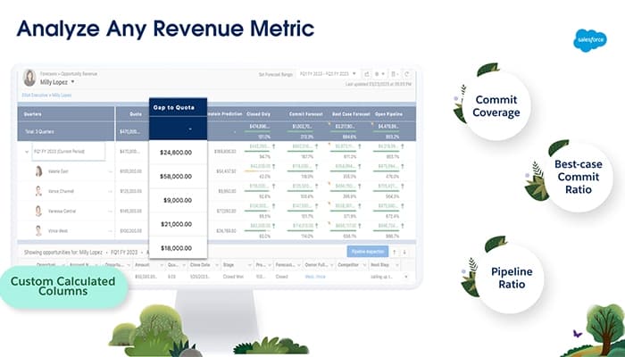 Salesforce Sales Cloud Forecasting
