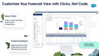 Salesforce Sales Cloud Pipeline Inspection and Forecasting