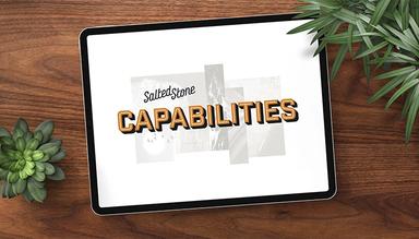 Salted Stone Solutions & Services