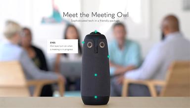 Salted Stone The Meeting Owl Product Page