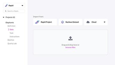 Scale Rapid data import