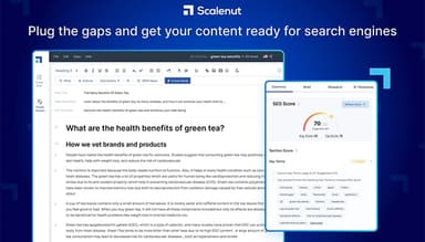 Scalenut get your content ready for search engines