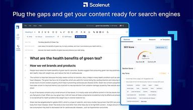 Scalenut get your content ready for search engines