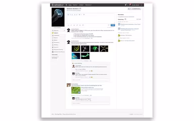 Schoology LMS Course Status Updates