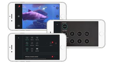 ScienceSoft Mobile App