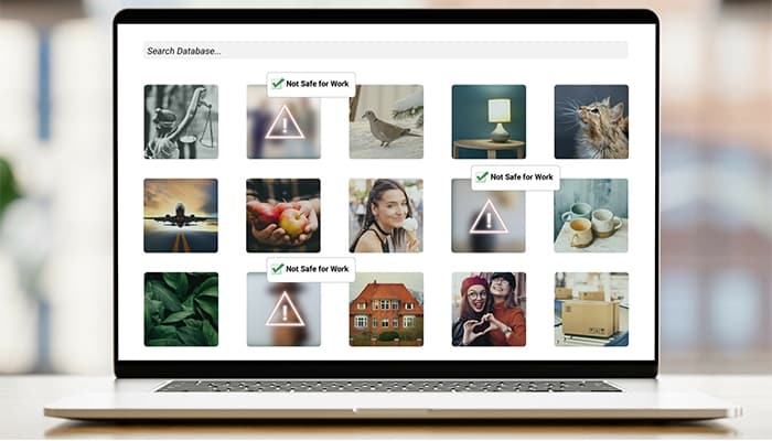 SentiSight-ai Search Database