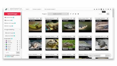 SentiSight-ai Upload Images