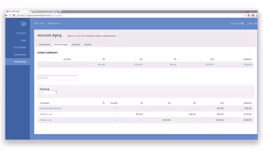 ServeManager account aging