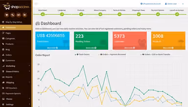 Shopaccino Full Store Insights on Your Dashboard