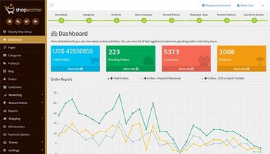 Shopaccino Full Store Insights on Your Dashboard