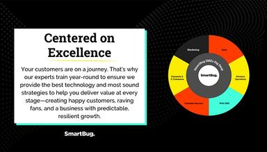 Smart Bug World's Top HubSpot Partner