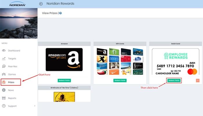 Snowfly Prizes